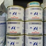 Royal Canin Recovery Jakarta Barat Jualo