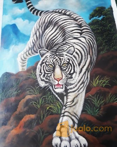 Unduh 970 Koleksi Gambar Harimau Macan Putih Terbaik Gratis