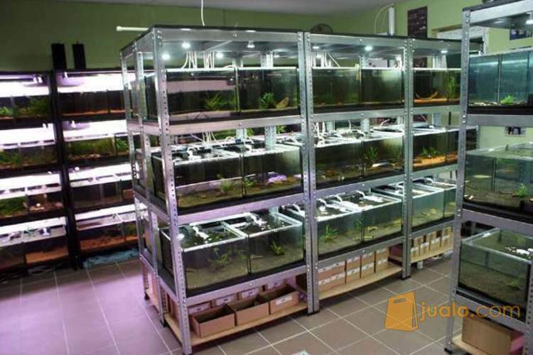  Rak  Aquarium  Stainless Steel Jakarta Timur Jualo