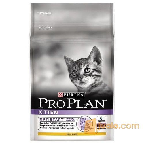  Pro  Plan  Kitten Makanan Kucing Anakan Cat  Food  