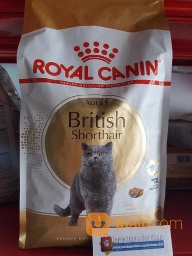 Royal Canin Adult British Shorthair Makanan Kucing Cat Food