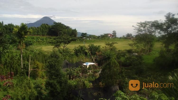 Tanah Lokasi Daerah Wisata Tretes