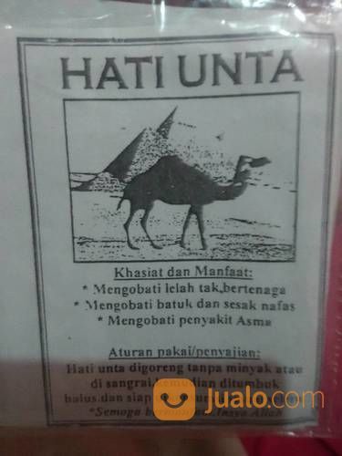 Download 480 Koleksi Gambar Hati Unta Paling Bagus 