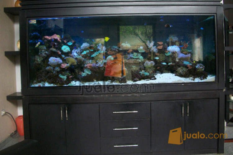 Aquarium laut aquascape  surabaya  Surabaya  Jualo