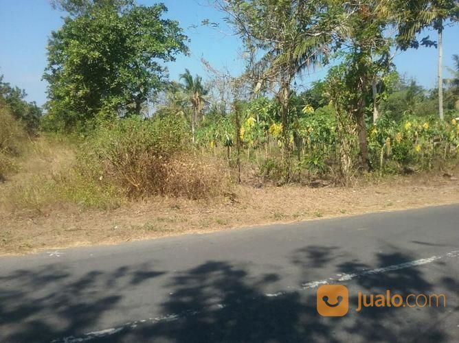 Tanah Murah Dekat Tempat Wisata Pantai Goa Cemara Bantul