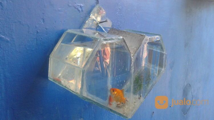 Aquarium Love Keren Bekasi Jualo