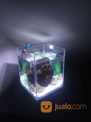 Aquarium Nano Set Jakarta Pusat Jualo