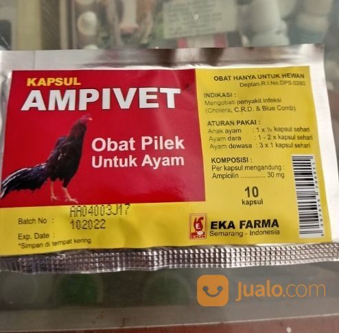 085227902020 Obat Pilek Alami Pada Ayam Obat Pilek Untuk