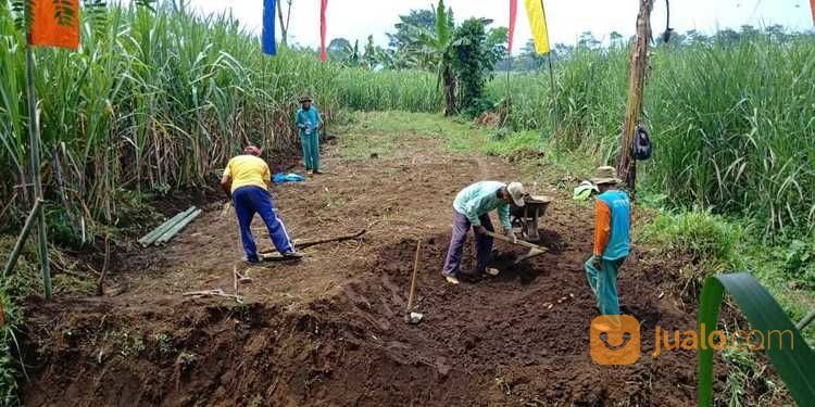 Tanah Kavling Randuagung Dinasty Singosari Malang Jalur Alternatif Kebun Teh