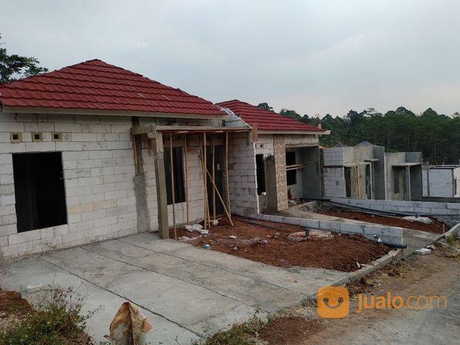 Desain Rumah  Istimewa 