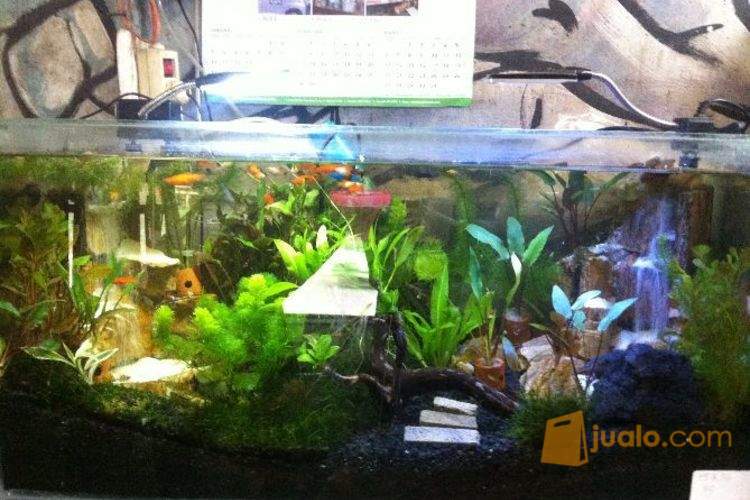 Aquascape Air Terjun 2 Sisi Jakarta Selatan Jualo