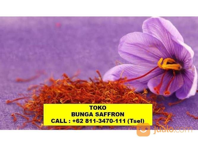 19 Bunga Saffron Asal  Galeri Bunga HD