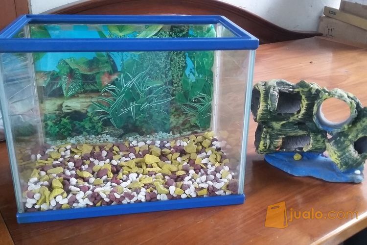 Aquarium Mini Cantik Tangerang Selatan Jualo