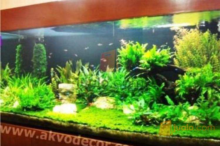 Aquarium Air Tawar Aquascape By Akvodecor Tangerang Jualo