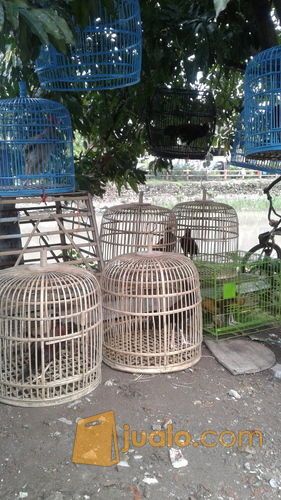 Jual Ayam Bekisar Surabaya Jualo