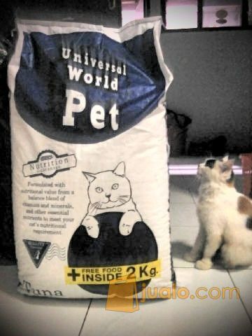 Makanan Kucing Universal Repack 500 Gram Jakarta Utara Jualo