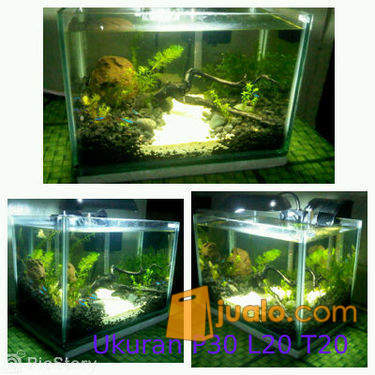 Aquascape minimalis | Cimahi | Jualo