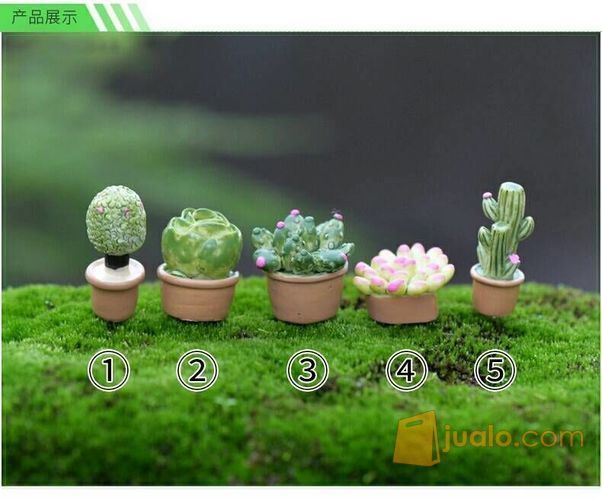 Hiasan Miniature Kaktus Dekoasi Terrarium Succulent Dekorasi