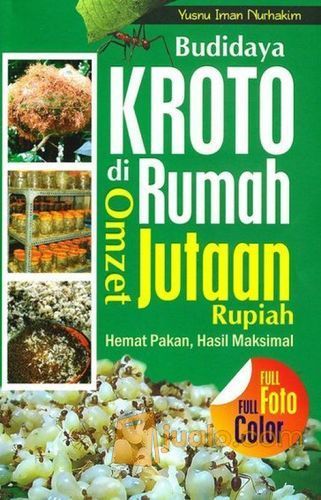 Budidaya Kroto Di Rumah Omset Jutaan Rupiah Yogyakarta Jualo