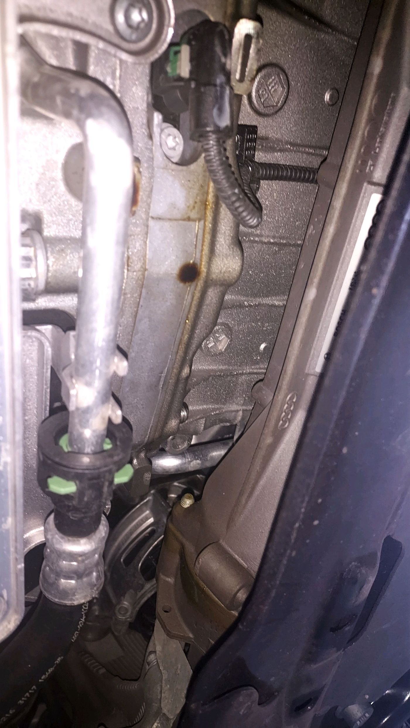 Engine Oil Leaks