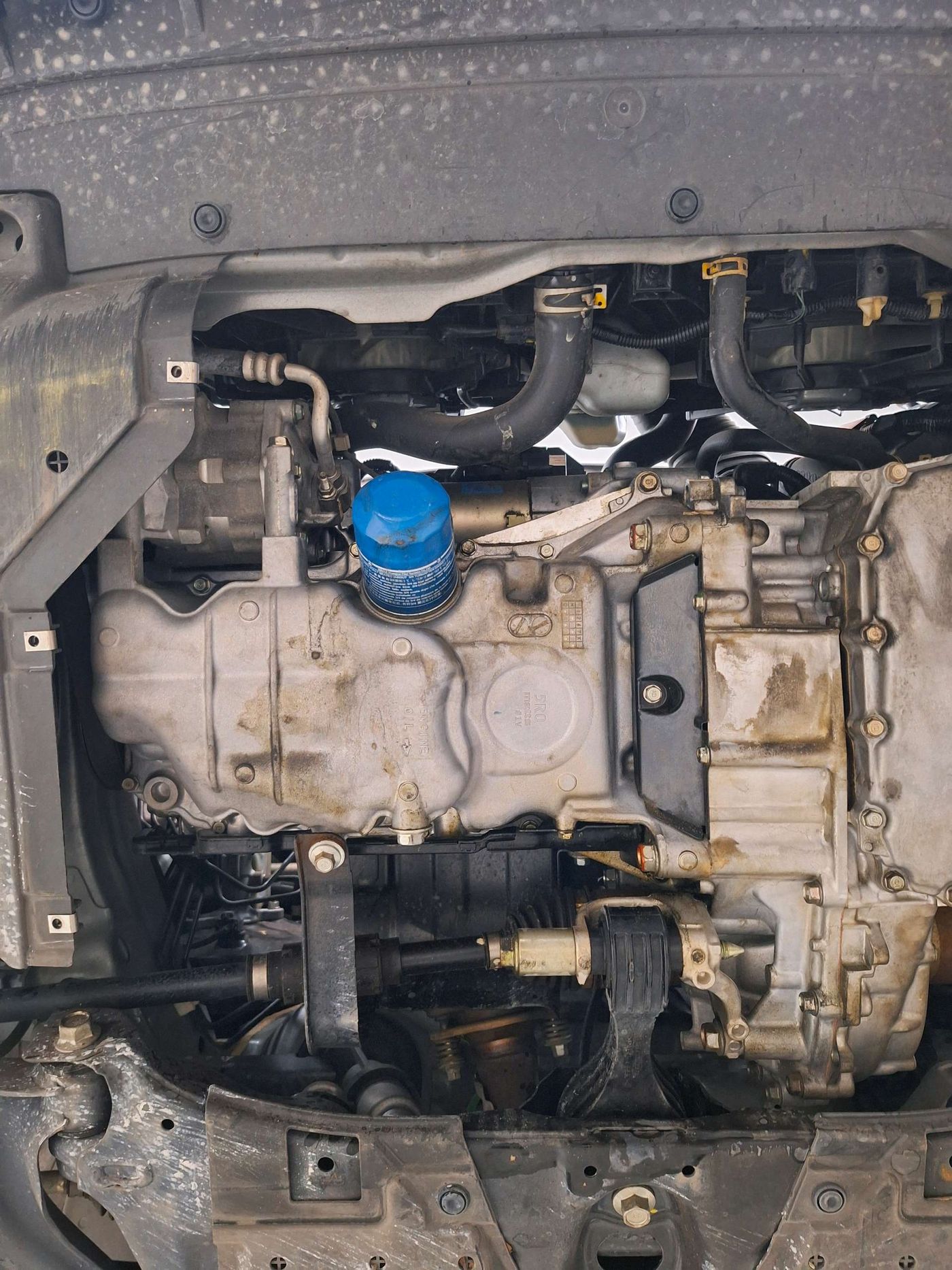 Engine Oil Leaks