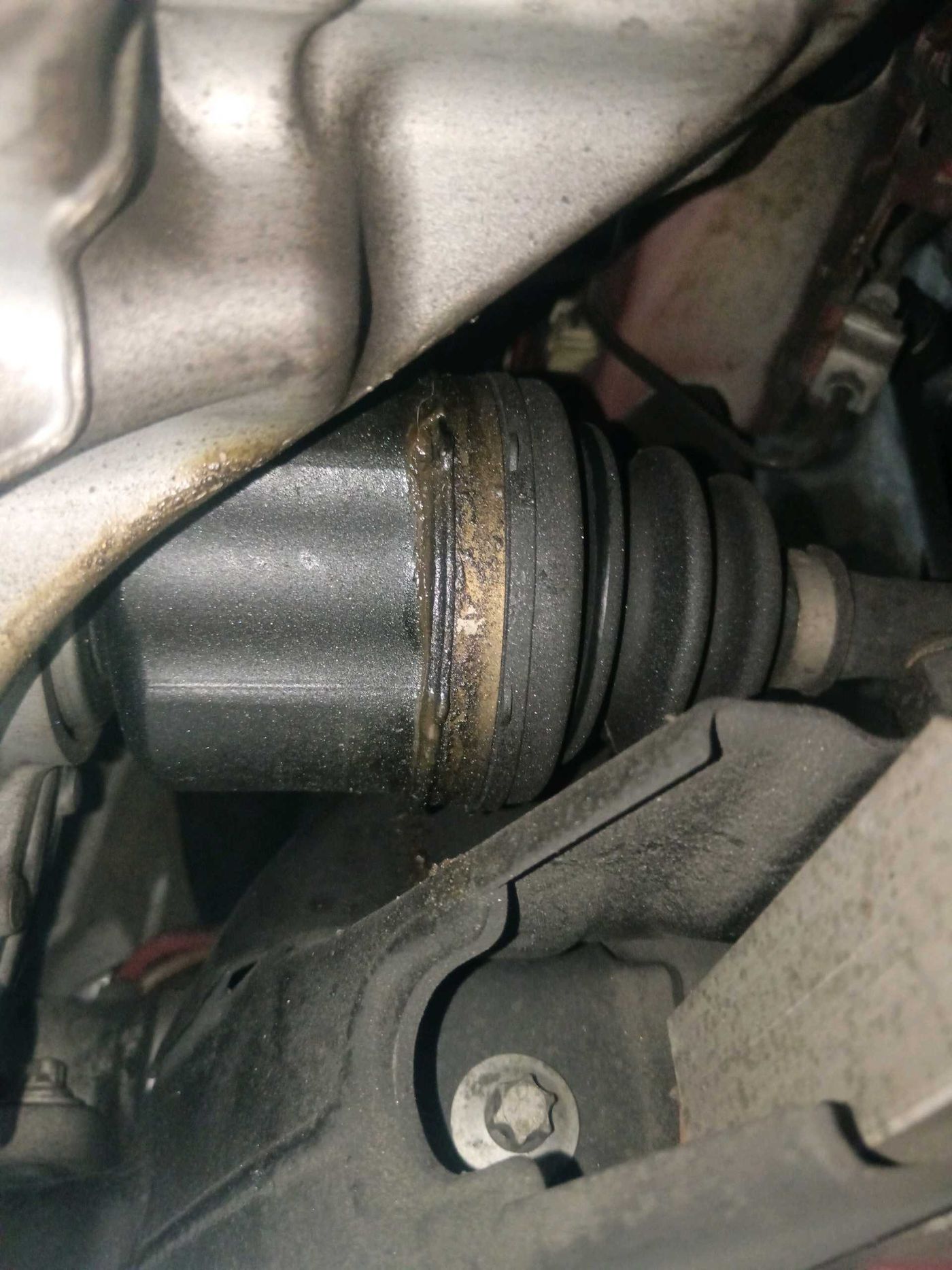 Transmission Fluid Leaks