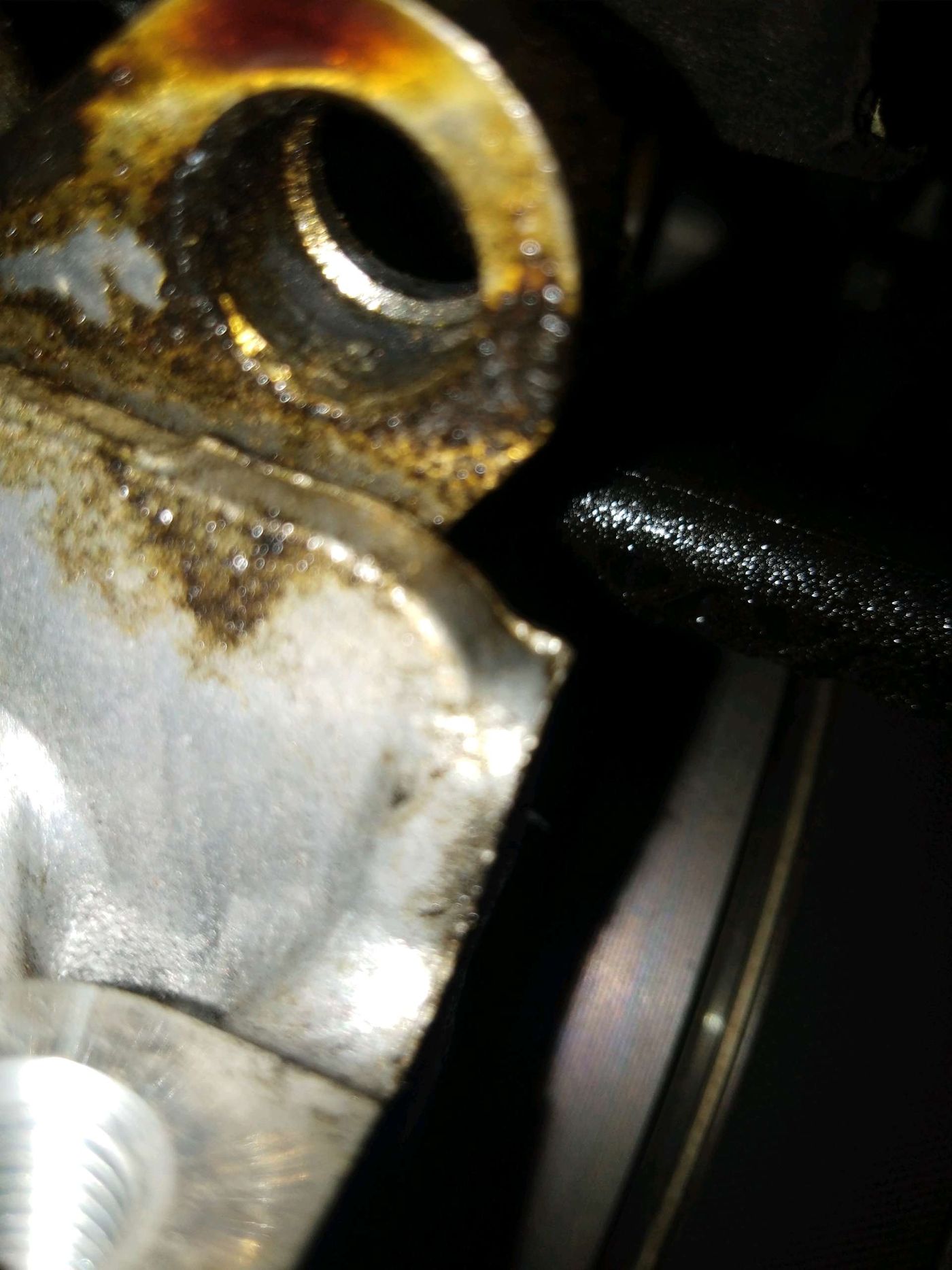 Engine Oil Leaks