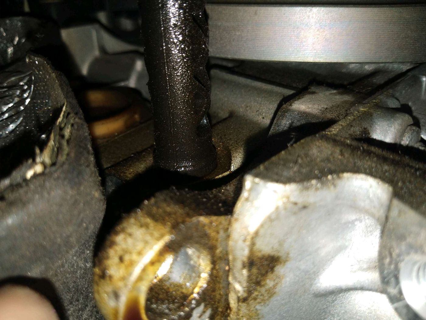 Engine Oil Leaks