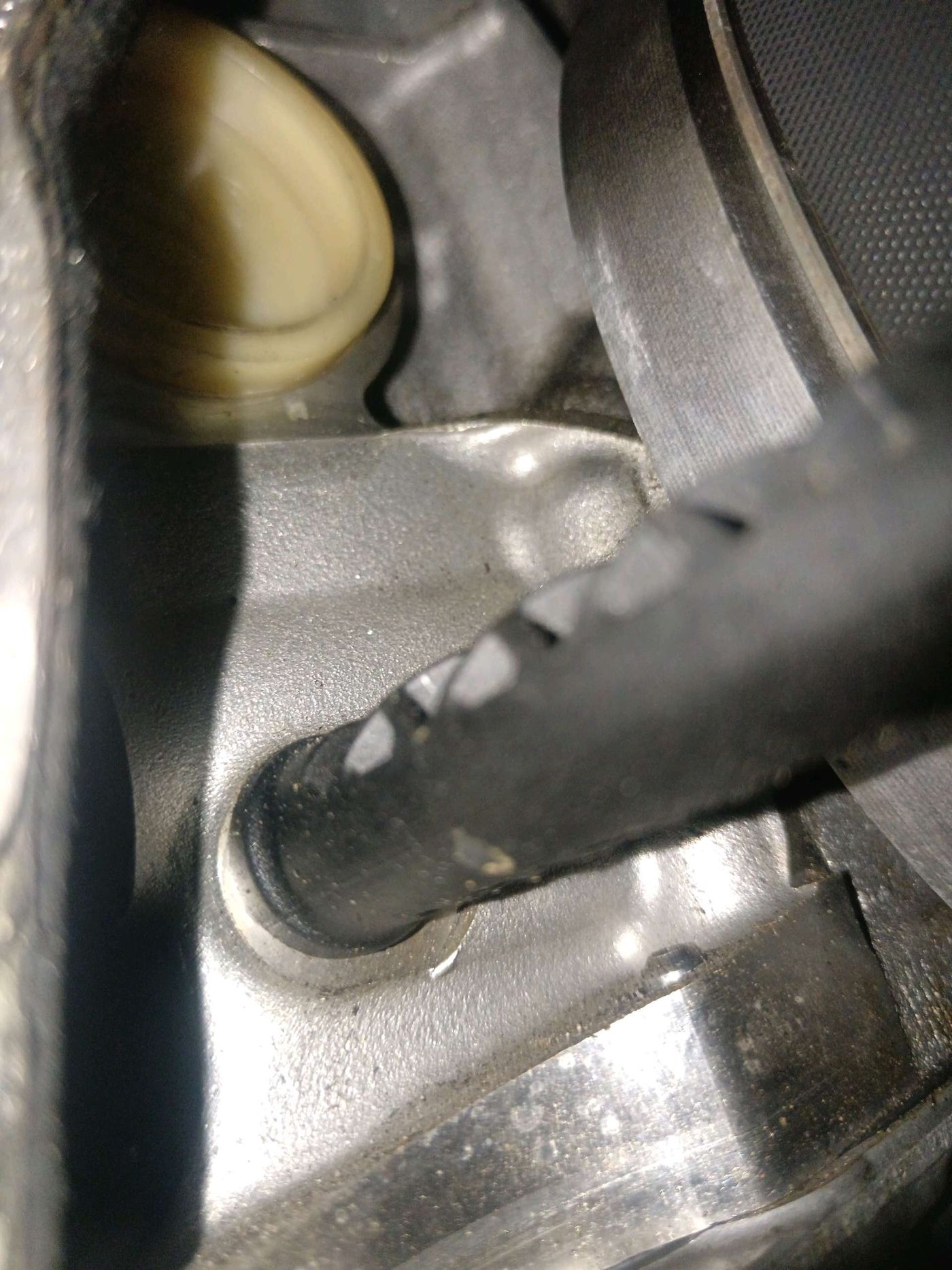 Engine Oil Leaks